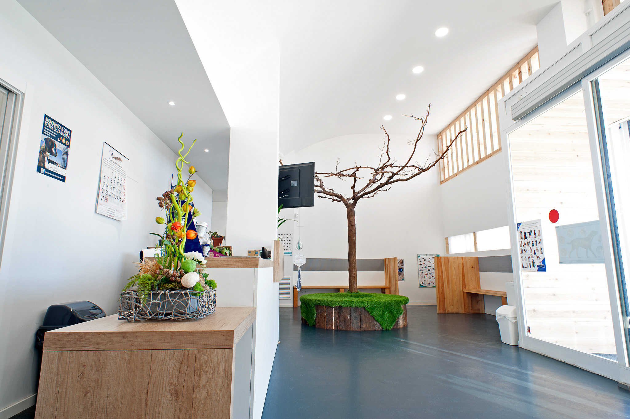 clinica-aralar-veterinaria-hospital-metro7